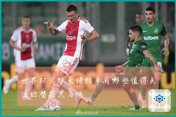 世界杯买球竞猜赔率有哪些值得关注的潜在黑马吗