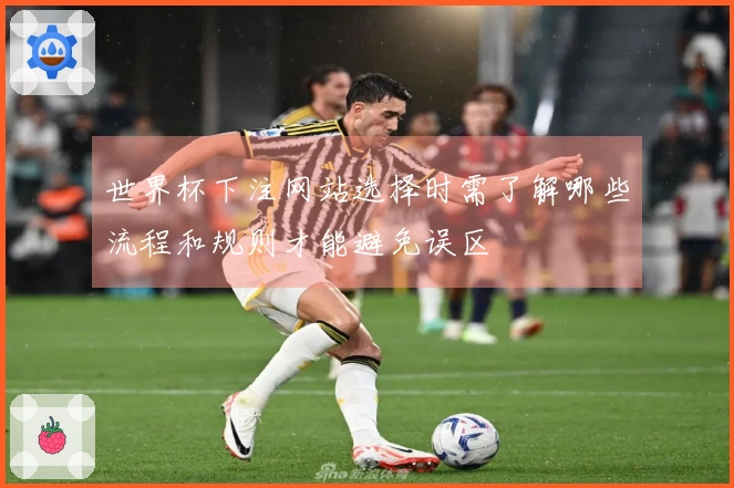 世界杯下注网站选择时需了解哪些流程和规则才能避免误区