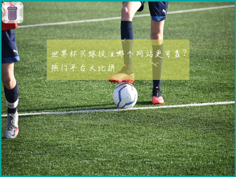 世界杯买球投注哪个网站更可靠？热门平台大比拼