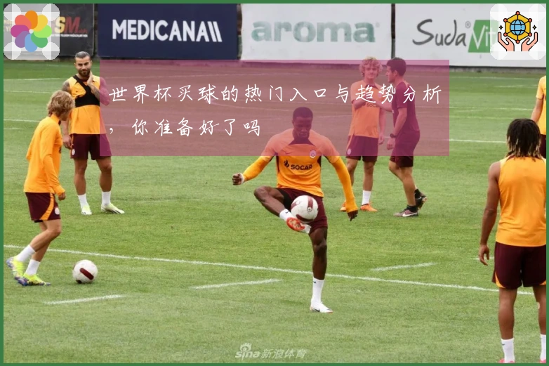 世界杯买球的热门入口与趋势分析，你准备好了吗