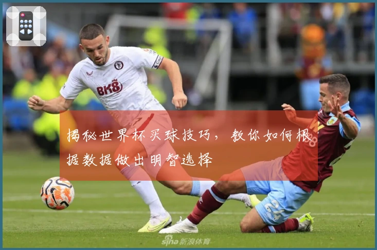 揭秘世界杯买球技巧，教你如何根据数据做出明智选择