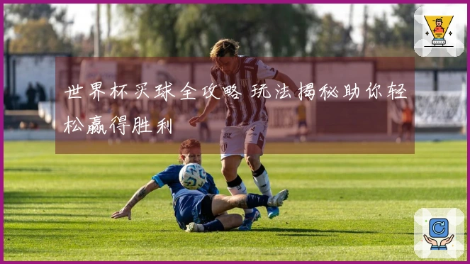 世界杯买球全攻略 玩法揭秘助你轻松赢得胜利