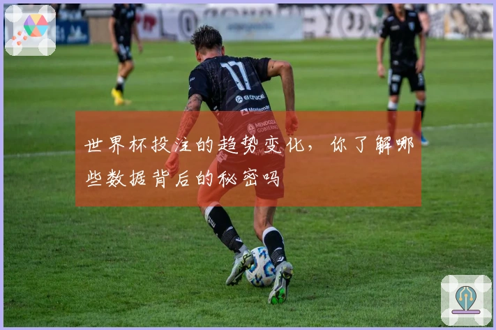 世界杯投注的趋势变化，你了解哪些数据背后的秘密吗