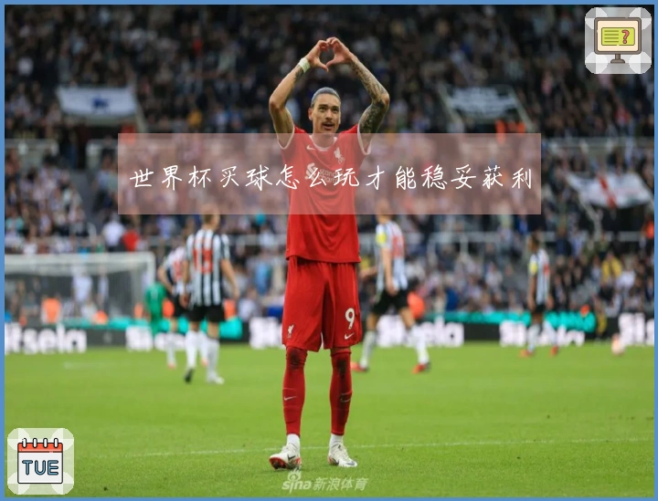 世界杯买球怎么玩才能稳妥获利