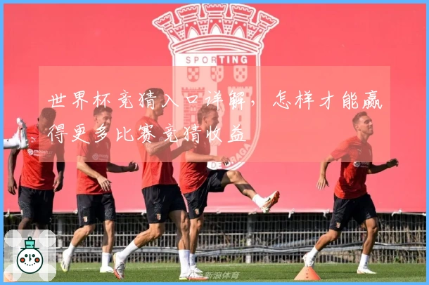 世界杯竞猜入口详解，怎样才能赢得更多比赛竞猜收益