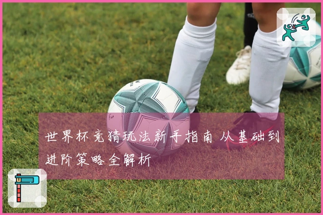 世界杯竞猜玩法新手指南 从基础到进阶策略全解析