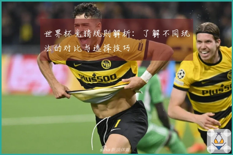 世界杯竞猜规则解析：了解不同玩法的对比与选择技巧