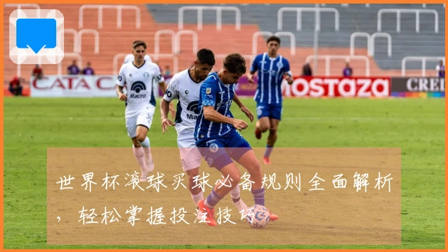 世界杯滚球买球必备规则全面解析，轻松掌握投注技巧
