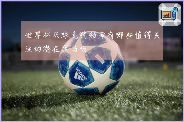 世界杯买球竞猜赔率有哪些值得关注的潜在黑马吗