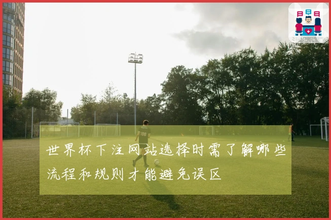 世界杯下注网站选择时需了解哪些流程和规则才能避免误区