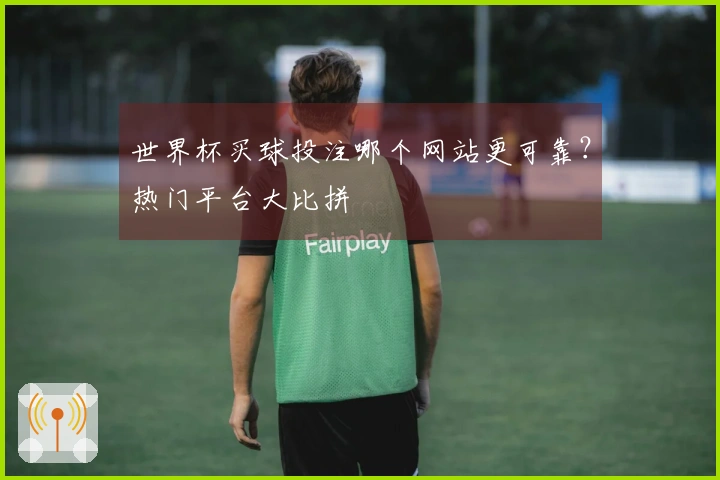 世界杯买球投注哪个网站更可靠？热门平台大比拼
